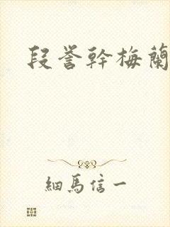 段誉干梅兰竹菊