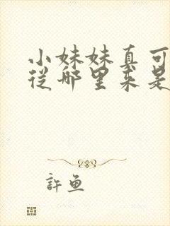 小妹妹真可爱你从哪里来是什么歌