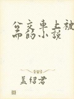 公交车上被摸下面的小说