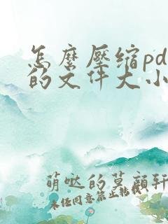 怎么压缩pdf的文件大小