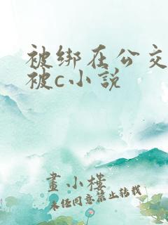 被绑在公交车里被c小说