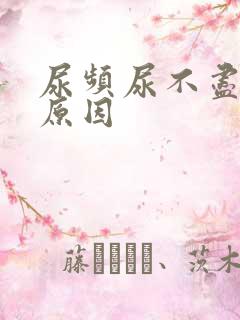 尿频尿不尽什么原因