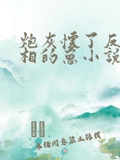 炮灰怀了反派丞相的崽小说
