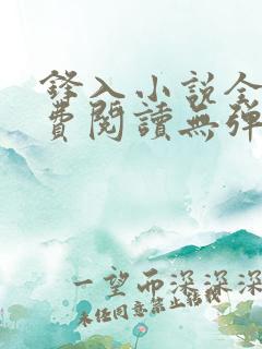 锋入小说全文免费阅读无弹窗