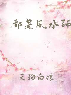 都是风水师