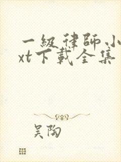 一级律师小说txt下载全集