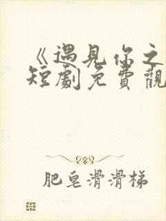 《遇见你之前》短剧免费观看