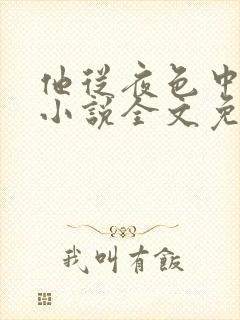 他从夜色中走来小说全文免费阅读