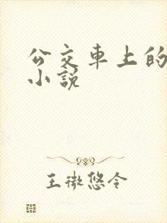 公交车上的秘密小说