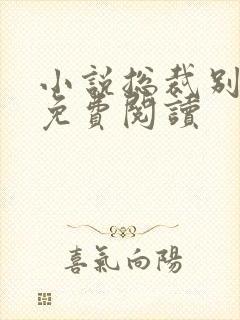 小说总裁别太坏免费阅读