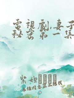电视剧,妻子的秘密第一集