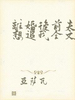 离婚后前夫总是想追我全文阅读免费
