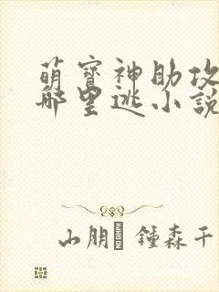 萌宝神助攻爹地哪里逃小说