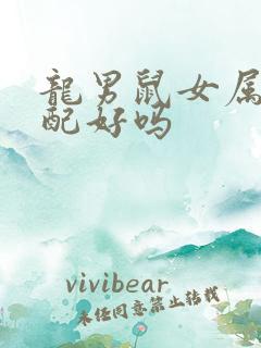 龙男鼠女属相婚配好吗