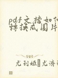 pdf文档如何转换成图片格式