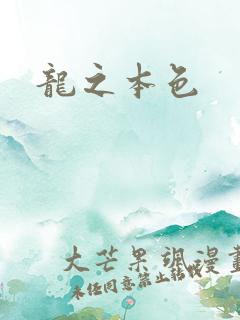 龙之本色