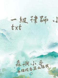 一级律师 小说 txt
