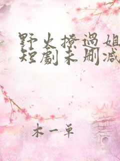 野火撩过姐姐心短剧未删减版