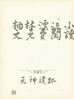 柏林漂流小说全文免费阅读无弹窗