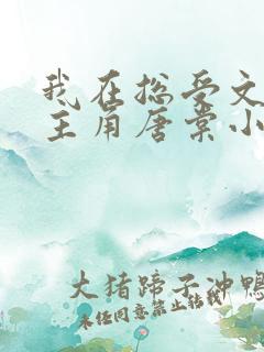 我在总受文里抢主角唐棠小说