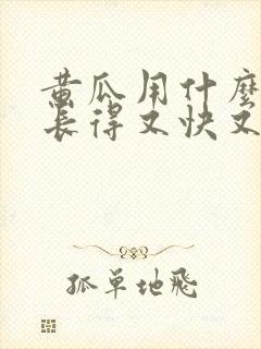 黄瓜用什么肥料长得又快又好
