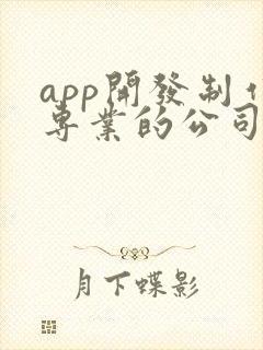 app开发制作专业的公司