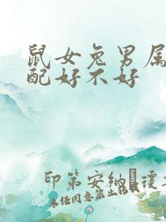 鼠女兔男属相婚配好不好