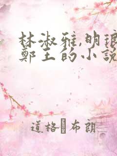 林淑雅,明琅,郑王的小说