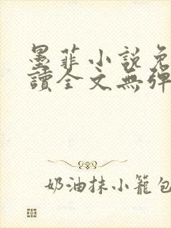 墨菲小说免费阅读全文无弹窗