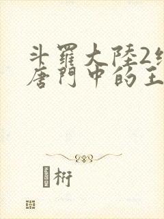 斗罗大陆2绝世唐门中的王冬