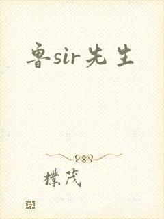 鲁sir先生