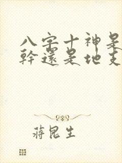 八字十神是看天干还是地支