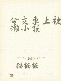 公交车上被弄高潮小说