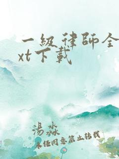 一级律师全本txt下载