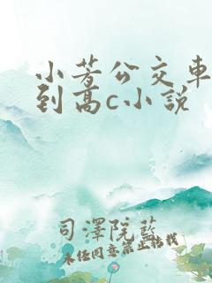 小芳公交车被做到高c小说