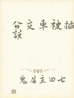 公交车被插入小说