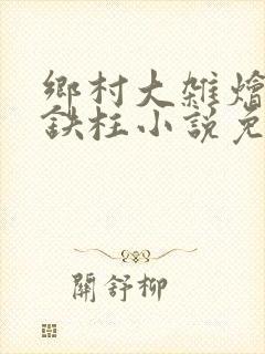 乡村大杂烩会王铁柱小说免费阅读下