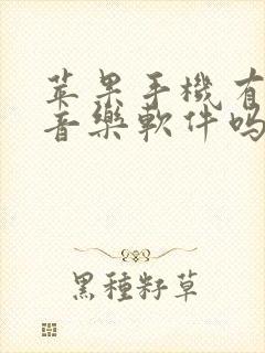 苹果手机有自带音乐软件吗