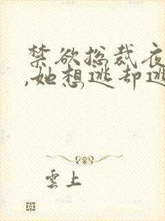 禁欲总裁夜夜缠,她想逃却逃不掉祁砚峥免