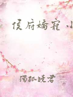 侯府娇宠 小说