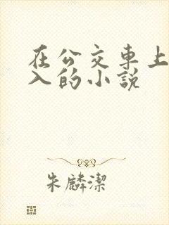 在公交车上被后入的小说