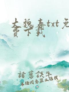 大魏春txt免费下载