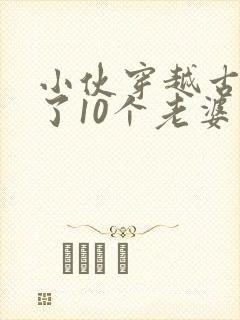 小伙穿越古代娶了10个老婆
