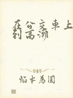 在公交车上被摸到高潮