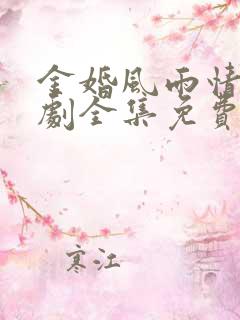 金婚风雨情电视剧全集免费高清在线观看