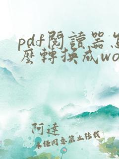 pdf阅读器怎么转换成word