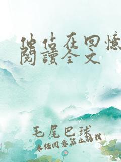 他站在回忆尽头阅读全文