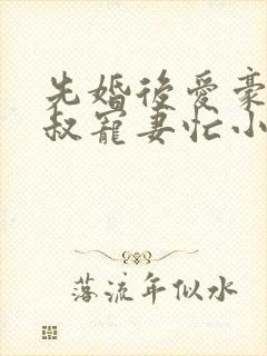 先婚后爱豪门大叔宠妻忙小说