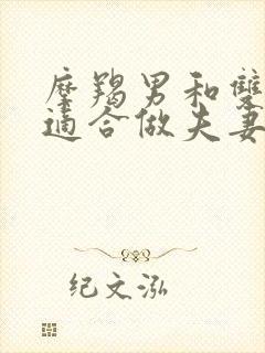 摩羯男和双子女适合做夫妻吗