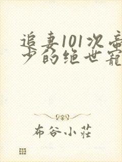 追妻101次帝少的绝世宠婚
